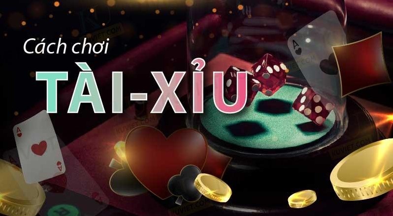 Q&A một vài các câu hỏi mà người chơi thường gặp khi chơi tài xỉu win55